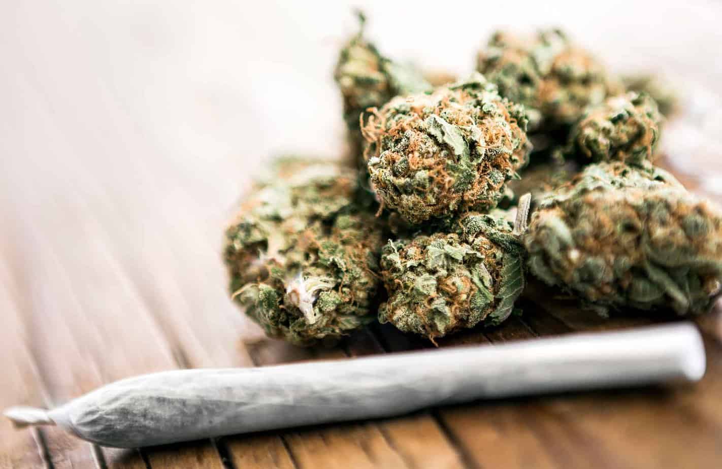 marijuana next to marijuana joint