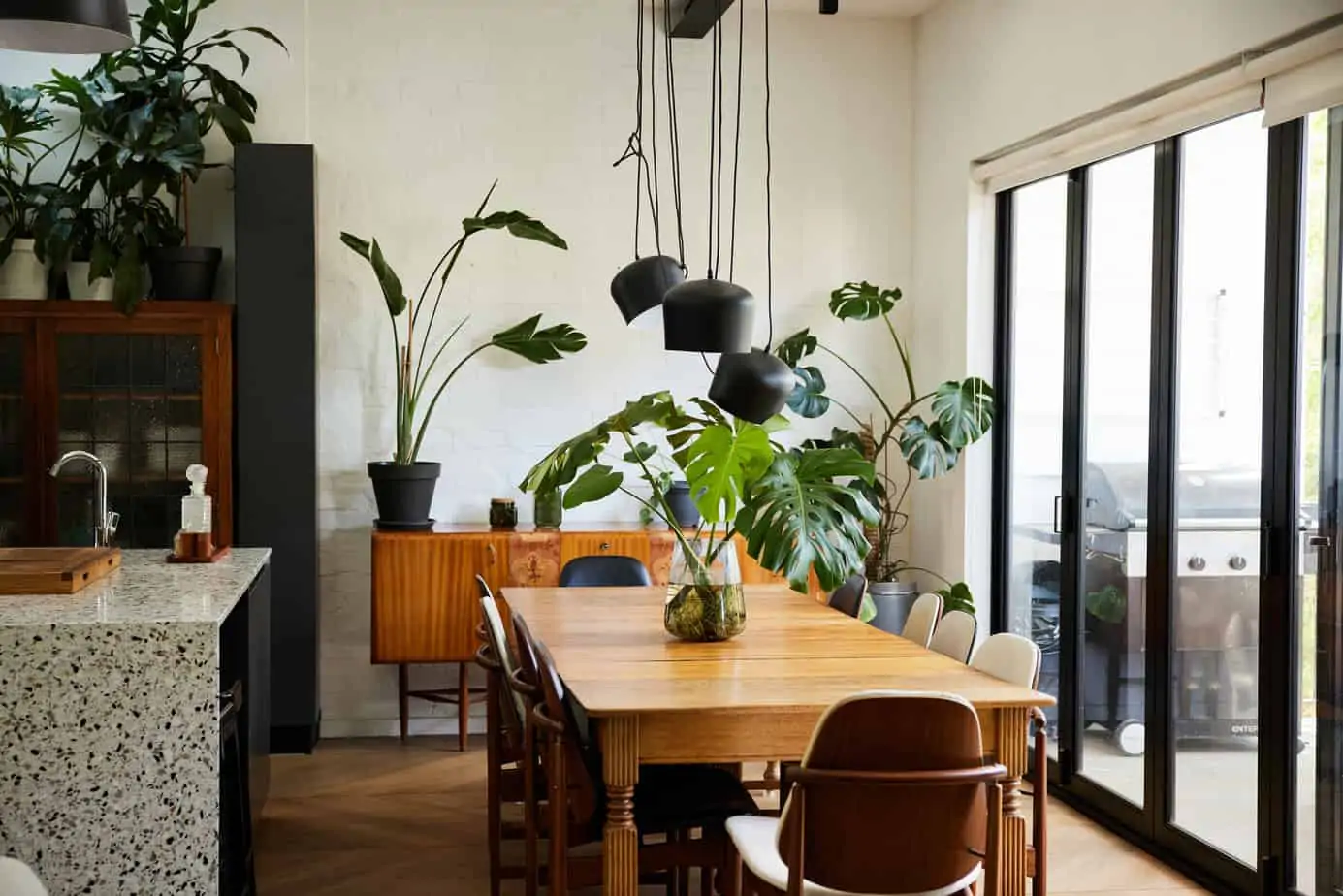 indoor houseplants