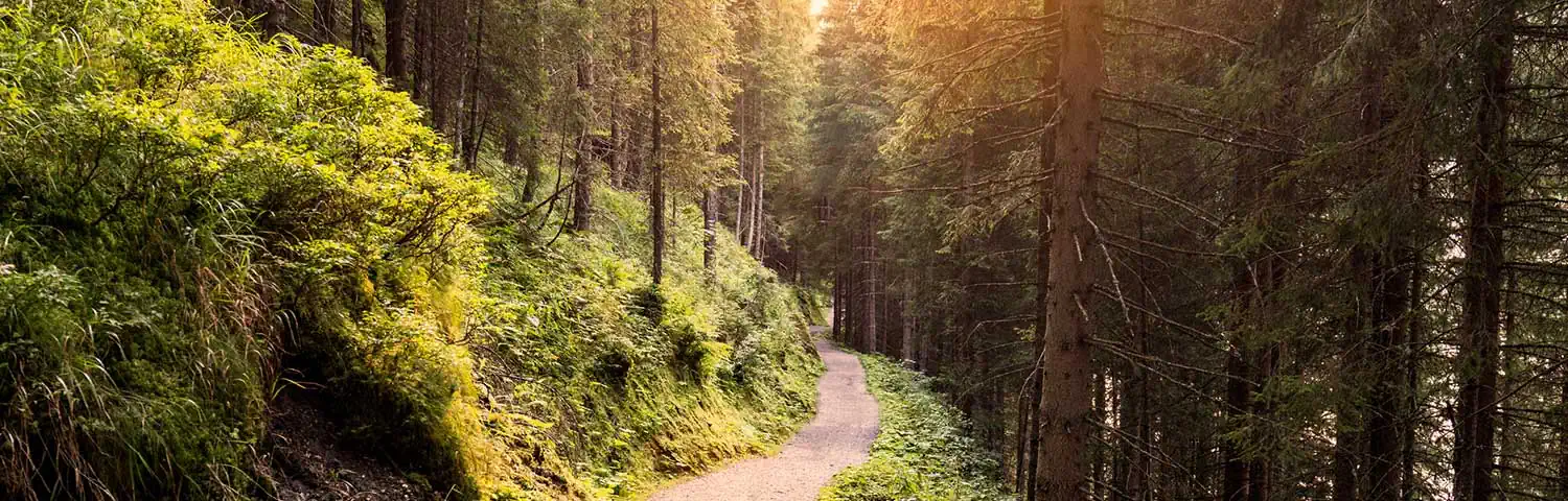 The Soul of Nature
