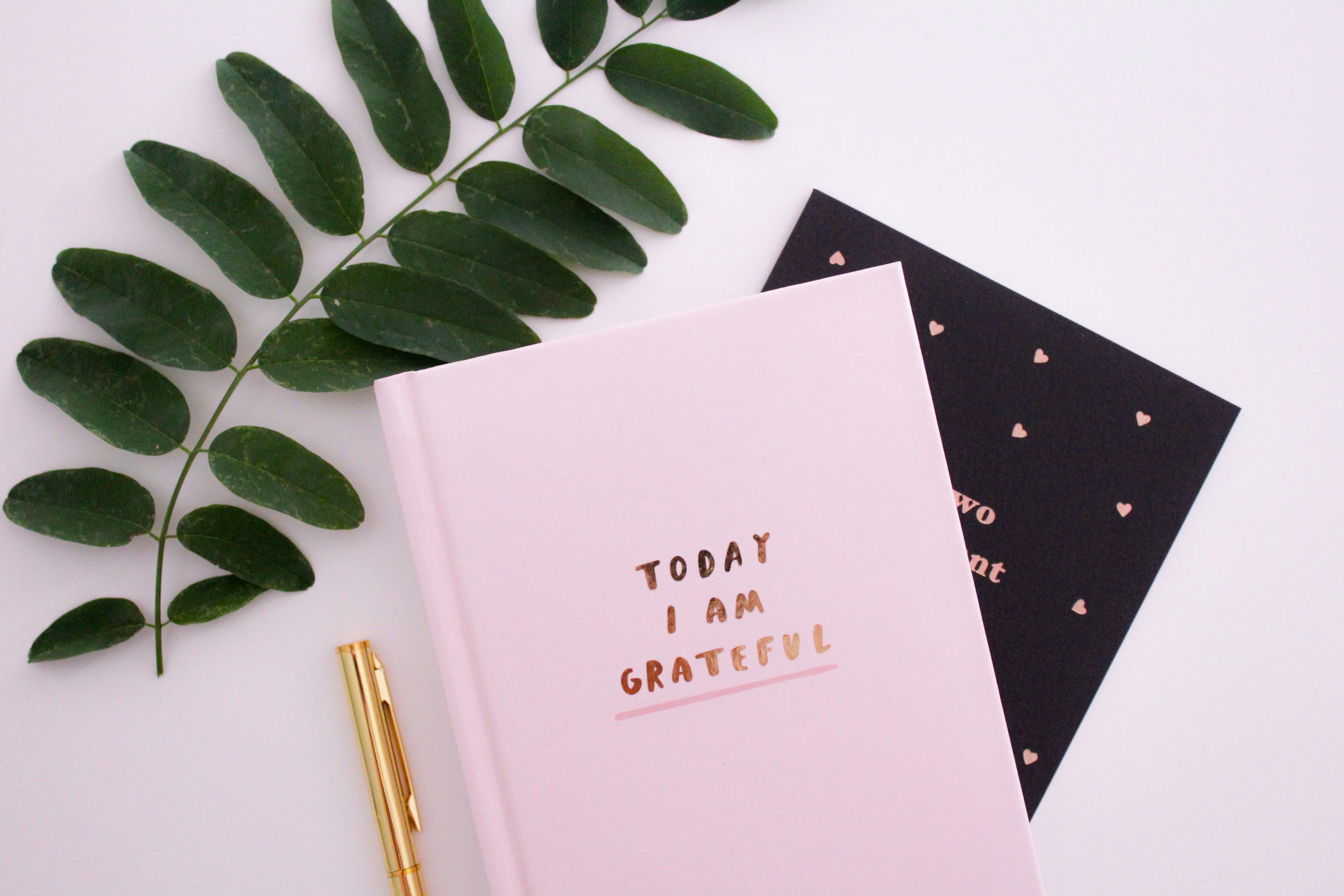 An idea for practicing gratitude is keeping a journal, shown here with a pen and leaves